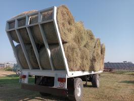 Bálaszállító pótkocsi eladó