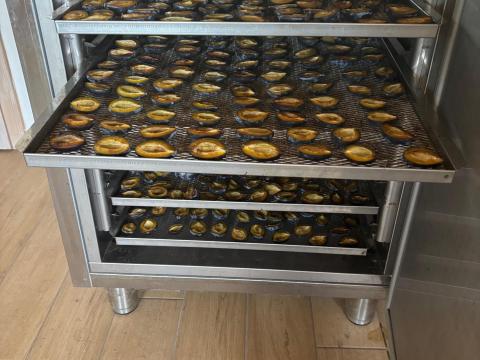 ALPFRIGO CFD 350 SS ipari aszalógép (aszalószekrény) 6 db GN 2/1 méretű tálcával eladó