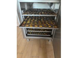 ALPFRIGO CFD 350 SS Ipari aszalógép (aszalószekrény) 6 db GN 2/1 méretű tálcával eladó