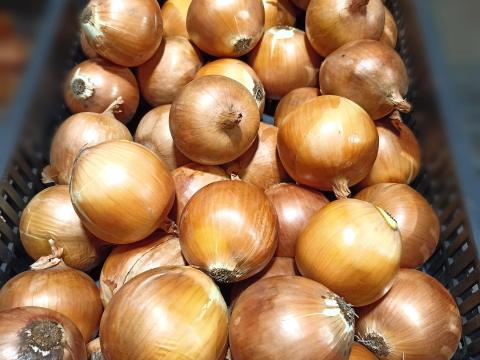 Vöröshagyma eladó Vöröshagyma eladó