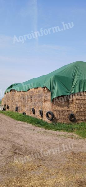 Tavalyi szalmabálák eladók