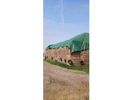 Tavalyi szalmabálák eladók