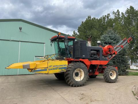 Byron 8420 csemegekukorica kombájn oxbo adapterrel Byron 8420 csemegekukorica kombájn oxbo adapterrel