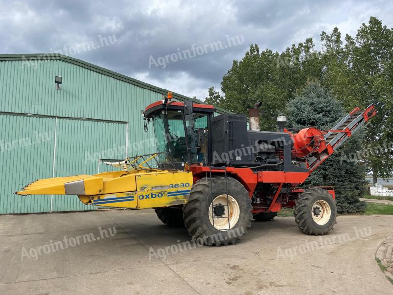 Byron 8420 csemegekukorica kombájn oxbo adapterrel
