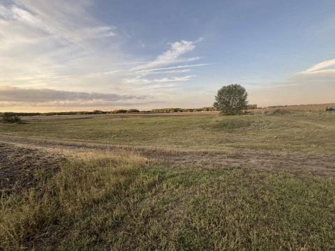 Eladó gyümölcsös kiváló termőfölddel, befektetőknek Eladó gyümölcsös kiváló termőfölddel, befektetőknek