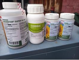 Granstar,  corida,  express