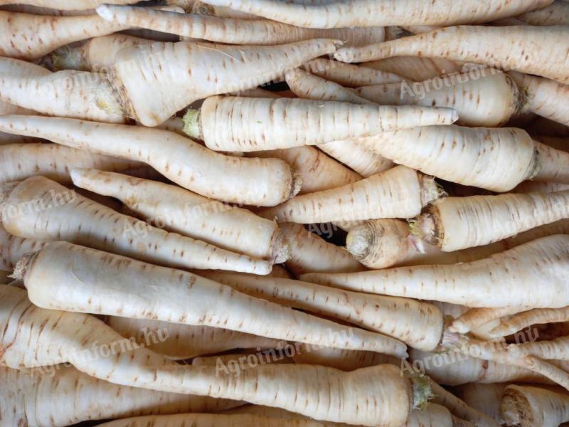 Petrezselyemgyökér eladó