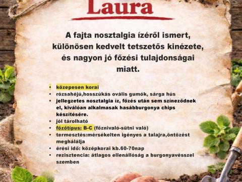 Vetőburgonya végkiárusítás