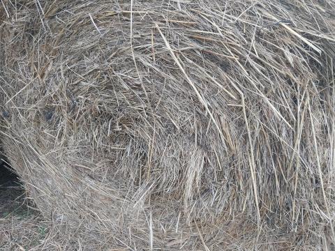 Széna eladó – 30 db 150-es átmérőjű bálában