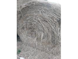 Széna eladó – 30 db 150-es átmérőjű bálában