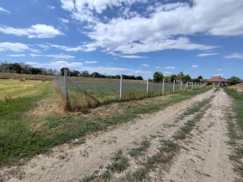 Építési telek eladó