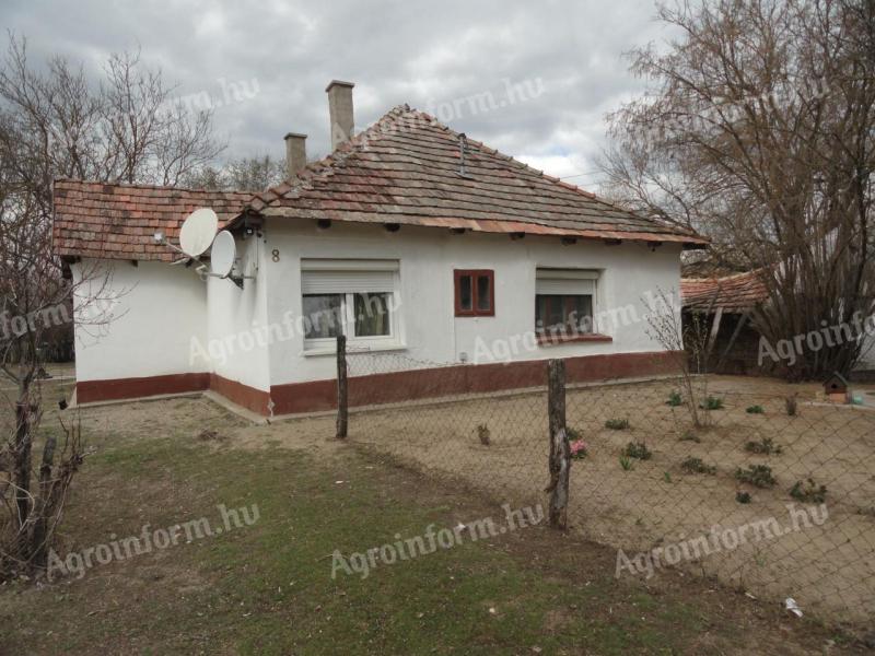 Újszilváson, erdei környezetben, felújított tanya eladó