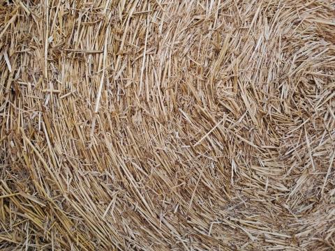 Szalmabála eladó Szalmabála eladó