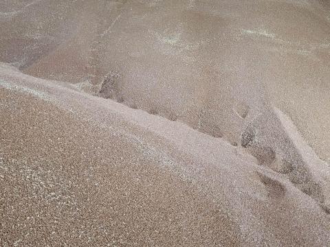 250 tonna búza eladó