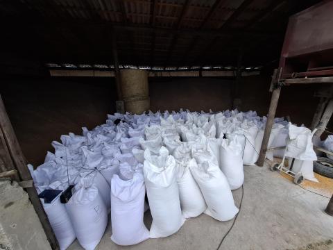 Tritikálé kis és nagy tételben Tritikálé kis és nagy tételben