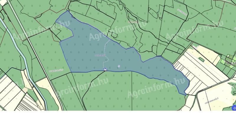 Érsekvadkert 099/3, 0175, 037/1, 0222/58, 0176/2, 0169/4 hrsz. alatti erdők tulajdoni hányad eladó