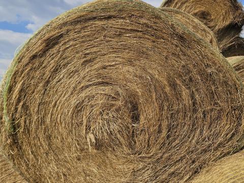 Széna Bála Széna Bála