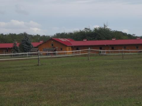 Lovarda kiadó Őrbottyánban