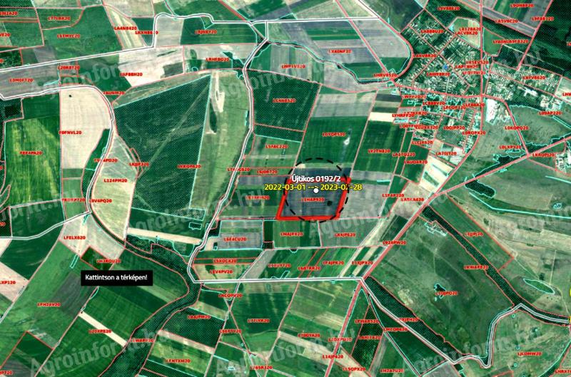 Eladó szántó Újtikoson