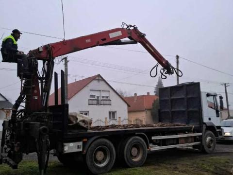 Fás daru  z daru penz