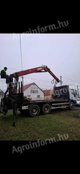 Fás daru  z daru penz