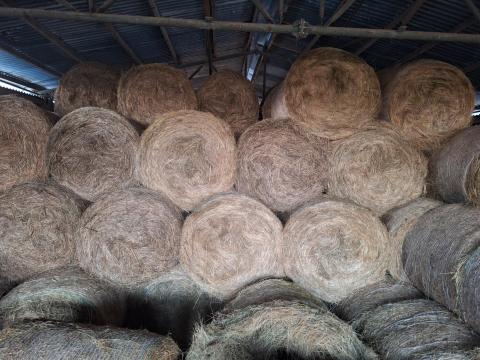 Széna bála eladó