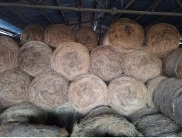 Széna bála eladó