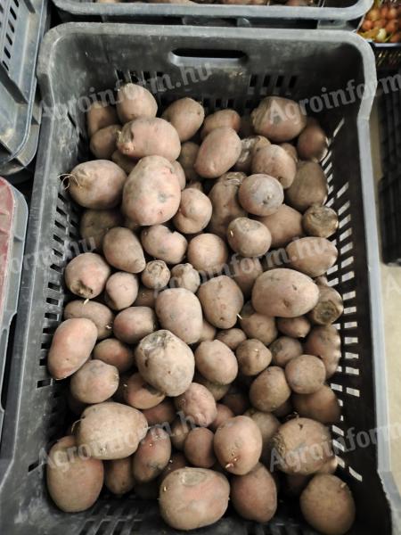 Takarmány burgonya eladó