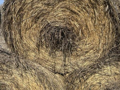 Szalma bála - II. osztály