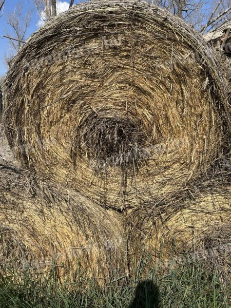 Szalma bála - II. osztály