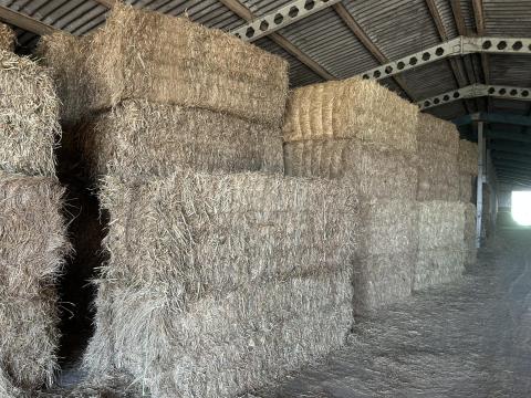 Nagykocka réti szénabála eladó Agárdon