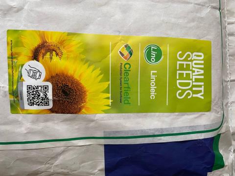 Napraforgó vetőmag