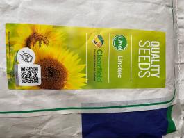 Napraforgó vetőmag