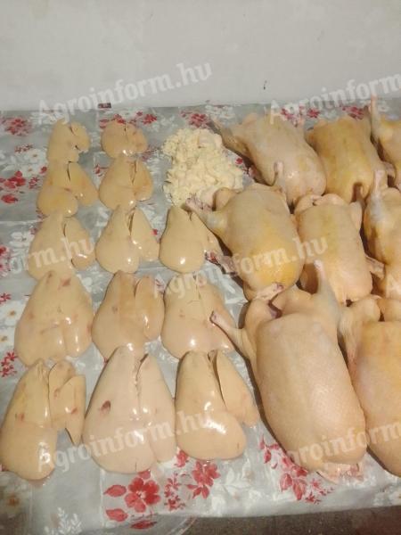 Hízott Tömött Kacsa Eladó