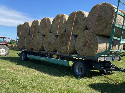 Előjegyezhető prémium minőségű lucerna körbála