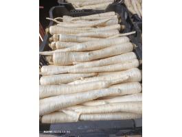 Fehér répa eladó termelőtől