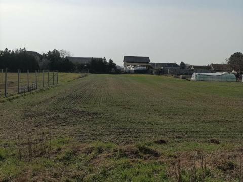 Eladó telek Dömsödön