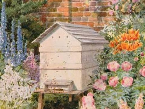 Megkímélt állapotú NB kaptárak eladók