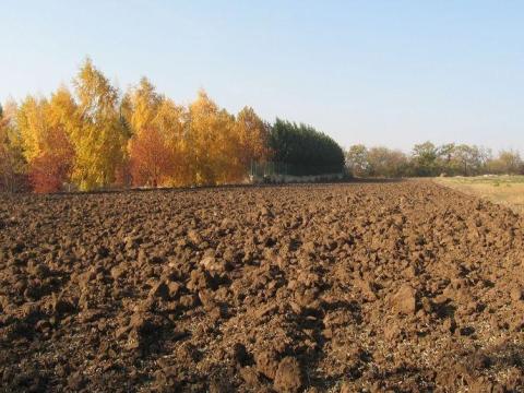 Szántóföld eladó Nagykereki külterületén Szántóföld eladó Nagykereki külterületén