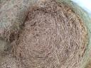 Kiváló minőségű takart zabszalma eladó