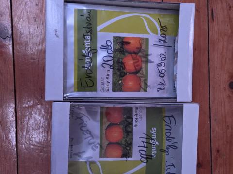 Early King Haloweentök Early King Haloweentök