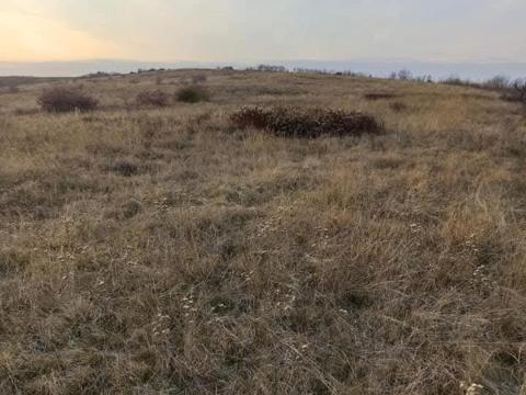 Gyümölcsös Ecsegen eladó, 4000 nm, több helyrajzi számon