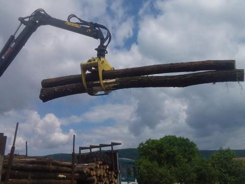 Erdészeti daru Erdészeti daru