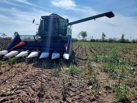 Nas 676 napraforgó adapter jó állapotban eladó