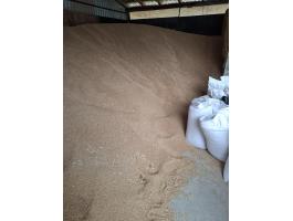 Tritikálé nagyobb tételben