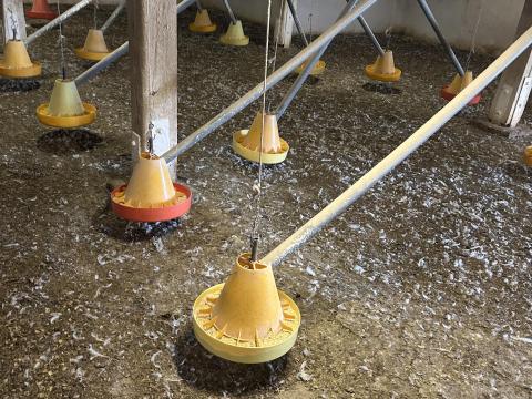 Broiler csirke neveléshez istálló berendezés eladó