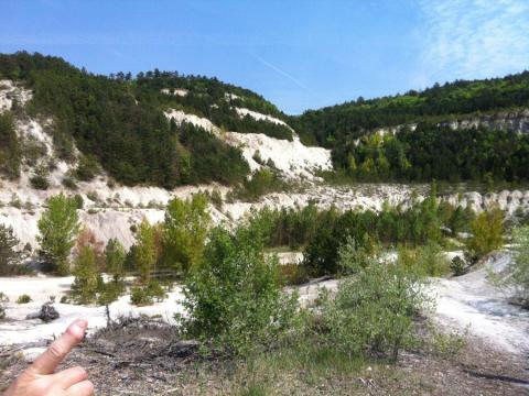 Gyenesdiáson 19,5 hektáros fejlesztési terület eladó Gyenesdiáson 19,5 hektáros fejlesztési terület eladó