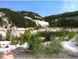 Gyenesdiáson 19,5 hektáros fejlesztési terület eladó