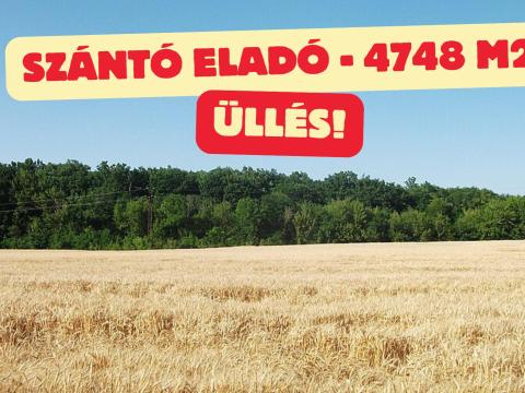 Üllésen szántó eladó Üllésen szántó eladó