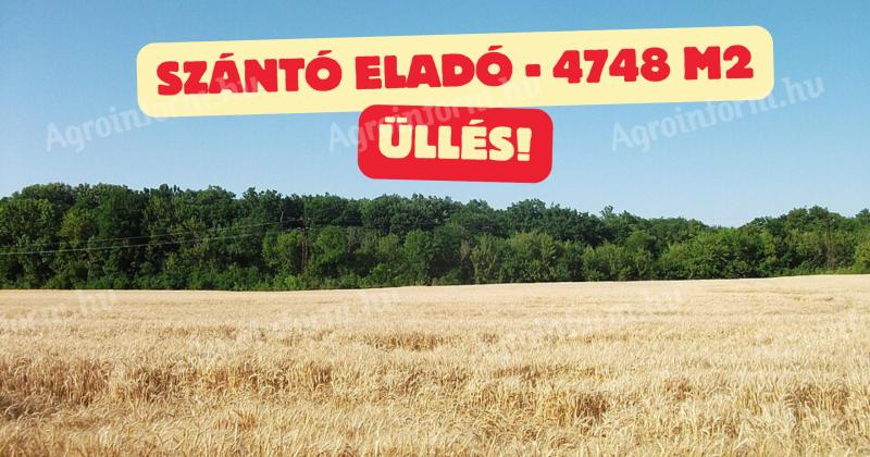 Üllésen szántó eladó
